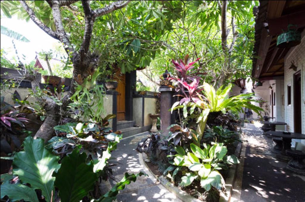 New Danas Canggu Guest House Kerobokan Exteriér fotografie